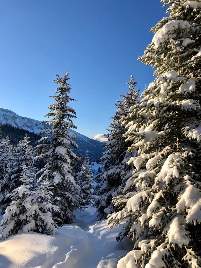 T2- 4Pers- Chamrousse Bachat Bouloud Lägenhet Exteriör bild