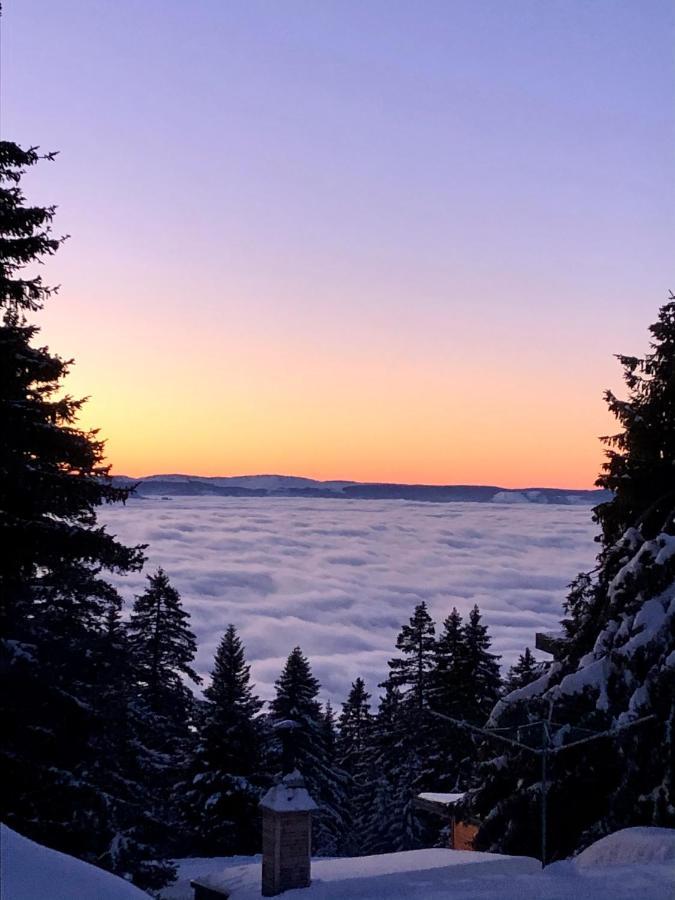 T2- 4Pers- Chamrousse Bachat Bouloud Lägenhet Exteriör bild